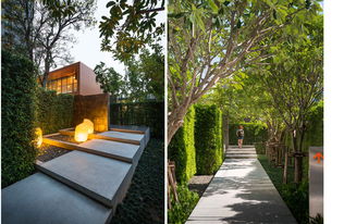 私家庭院景观设计中的经典元素 树篱