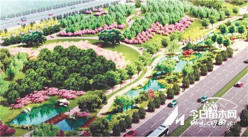 河南郑州航空港中央生态公园园林景观绿化工程