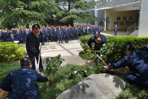 太阳娱乐集团举行感恩林清明纪念活动